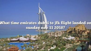 What time emirates dubai to jfk flight landed on sunday nov 11 2018?