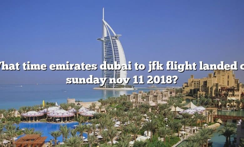 What time emirates dubai to jfk flight landed on sunday nov 11 2018?