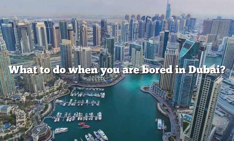 What to do when you are bored in Dubai?