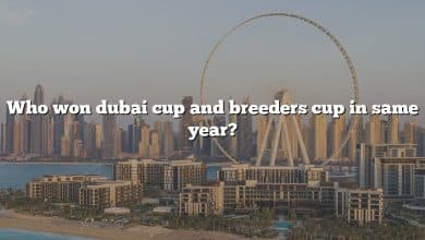 Who won dubai cup and breeders cup in same year?