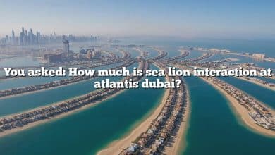You asked: How much is sea lion interaction at atlantis dubai?