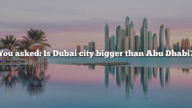 You asked: Is Dubai city bigger than Abu Dhabi?