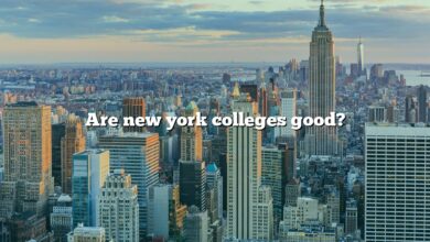 Are new york colleges good?