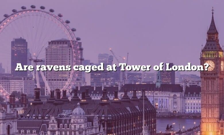 Are ravens caged at Tower of London?