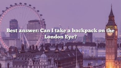 Best answer: Can I take a backpack on the London Eye?
