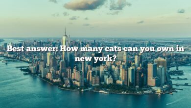 Best answer: How many cats can you own in new york?
