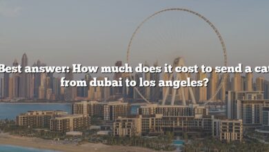Best answer: How much does it cost to send a cat from dubai to los angeles?