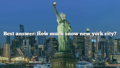 Best answer: How much snow new york city?