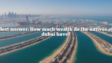 Best answer: How much wealth do the natives of dubai have?