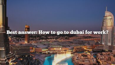 Best answer: How to go to dubai for work?