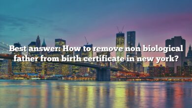 Best answer: How to remove non biological father from birth certificate in new york?