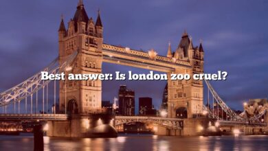 Best answer: Is london zoo cruel?