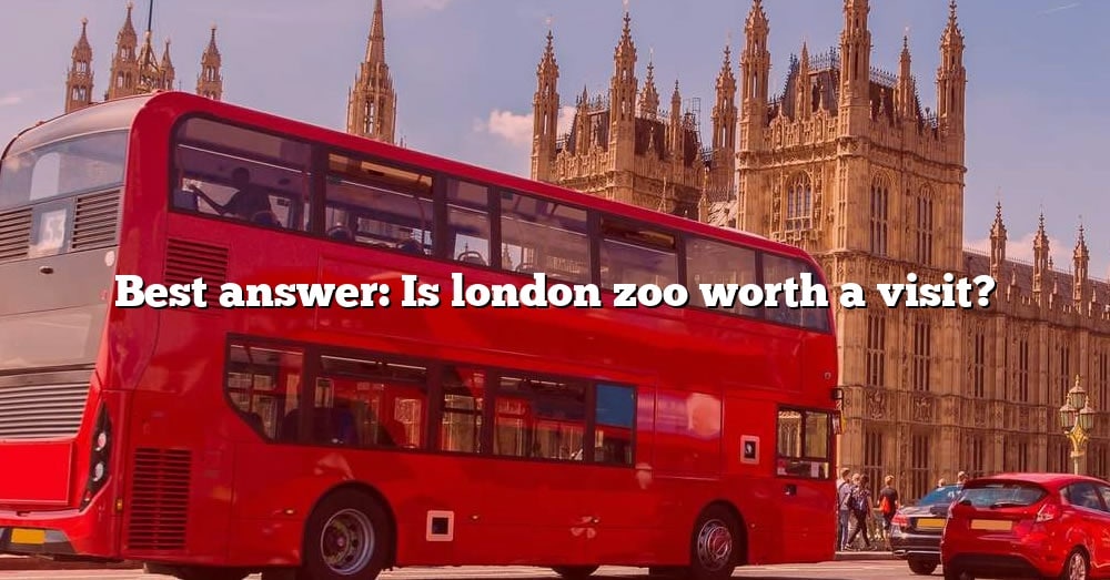 is london zoo worth a visit