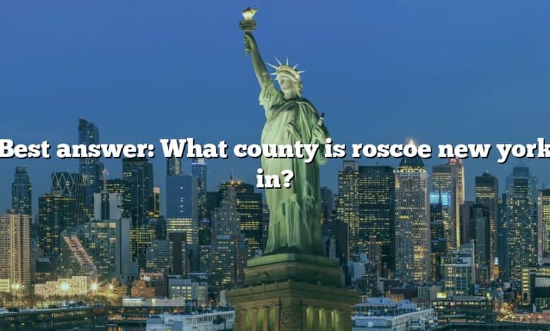 Best answer: What county is roscoe new york in?