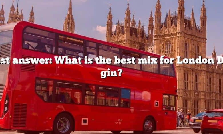 Best answer: What is the best mix for London Dry gin?