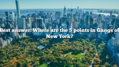 Best answer: Where are the 5 points in Gangs of New York?