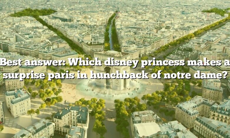 Best answer: Which disney princess makes a surprise paris in hunchback of notre dame?