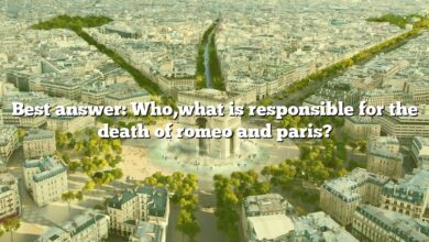 Best answer: Who,what is responsible for the death of romeo and paris?