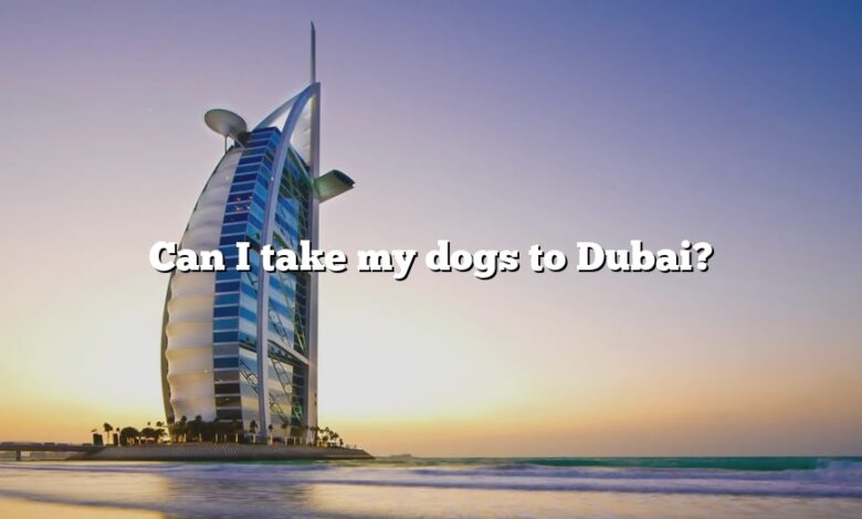 Can I take my dogs to Dubai?