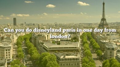 Can you do disneyland paris in one day from london?