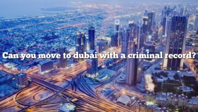 Can you move to dubai with a criminal record?