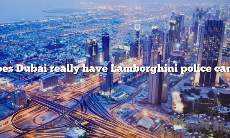 Does Dubai really have Lamborghini police cars?