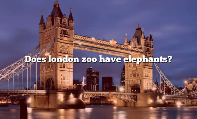 Does london zoo have elephants?