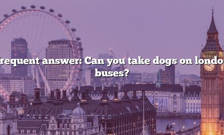 Frequent answer: Can you take dogs on london buses?