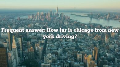 Frequent answer: How far is chicago from new york driving?