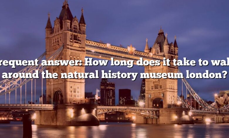 Frequent answer: How long does it take to walk around the natural history museum london?
