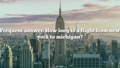 Frequent answer: How long is a flight from new york to michigan?