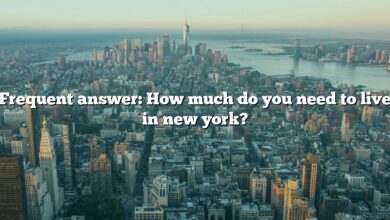 Frequent answer: How much do you need to live in new york?