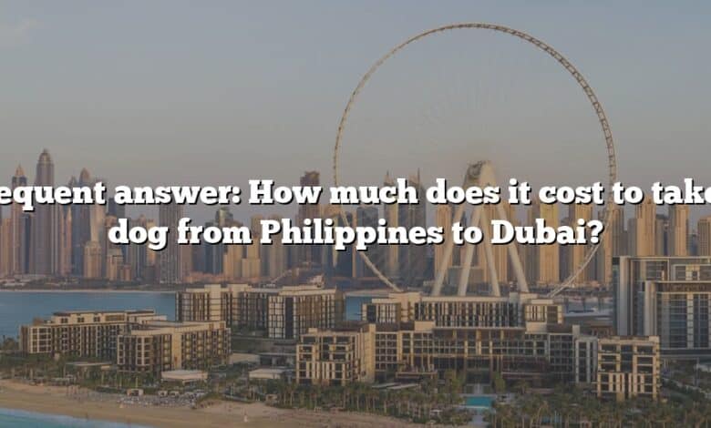Frequent answer: How much does it cost to take a dog from Philippines to Dubai?