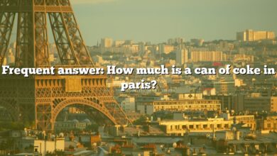 Frequent answer: How much is a can of coke in paris?