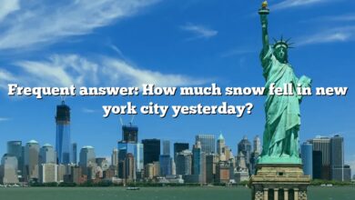 Frequent answer: How much snow fell in new york city yesterday?