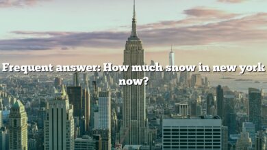Frequent answer: How much snow in new york now?