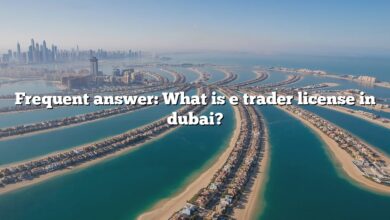 Frequent answer: What is e trader license in dubai?