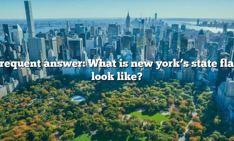 Frequent answer: What is new york’s state flag look like?
