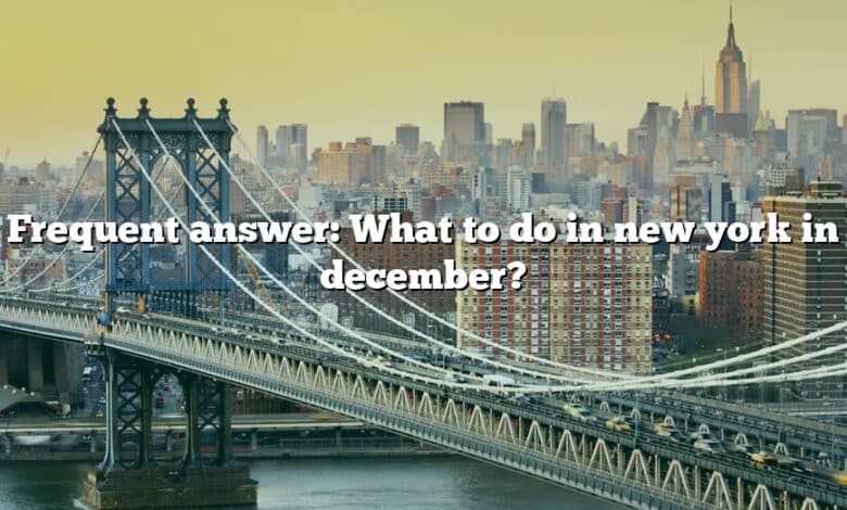 Frequent answer: What to do in new york in december?