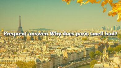 Frequent answer: Why does paris smell bad?