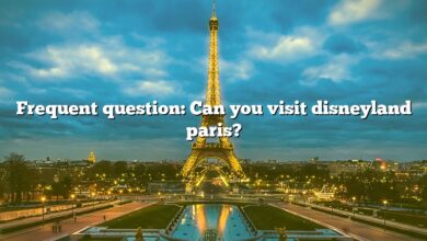 Frequent question: Can you visit disneyland paris?
