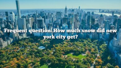 Frequent question: How much snow did new york city get?