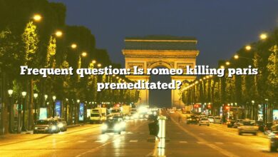 Frequent question: Is romeo killing paris premeditated?