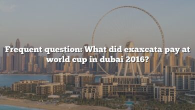 Frequent question: What did exaxcata pay at world cup in dubai 2016?