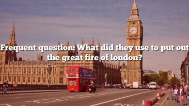 Frequent question: What did they use to put out the great fire of london?