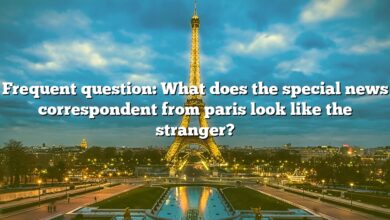 Frequent question: What does the special news correspondent from paris look like the stranger?