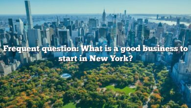 Frequent question: What is a good business to start in New York?