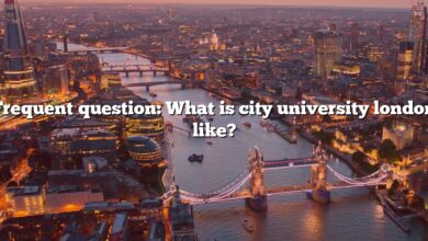 Frequent question: What is city university london like?