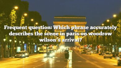 Frequent question: Which phrase accurately describes the scene in paris on woodrow wilson’s arrival?