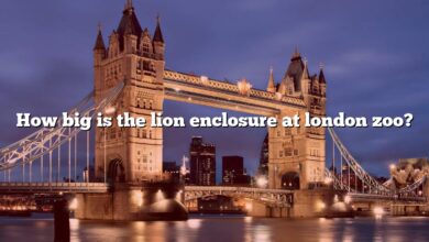 How big is the lion enclosure at london zoo?